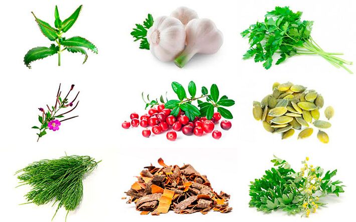 ժողովրդական միջոցներ պրոստատիտի բուժման համար